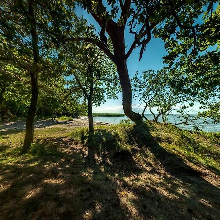 Traumhaff Historischer Kahnschifferhof Mit Kamin, Liebevoll Restauriert Vogelsang-Warsin Buitenkant foto