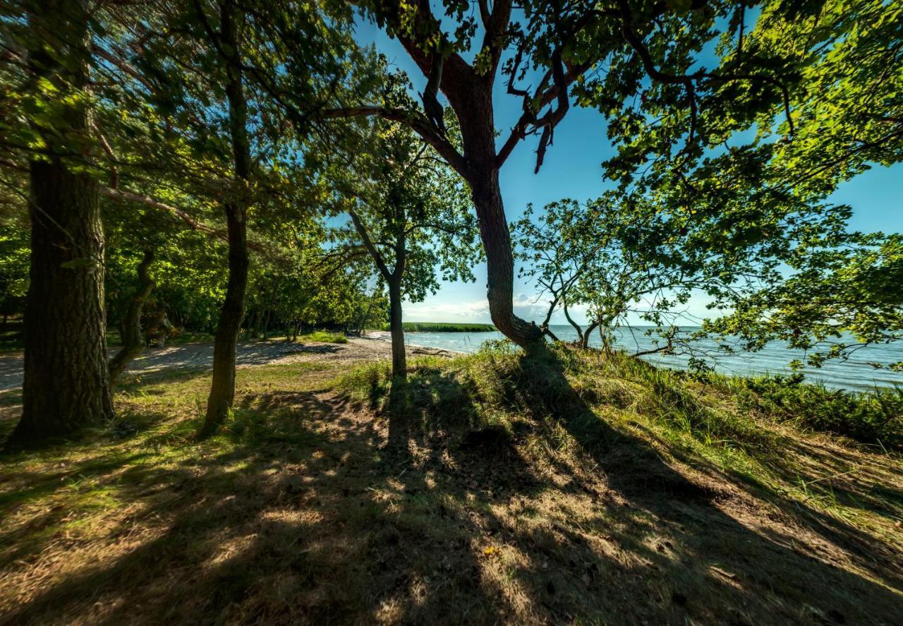 Traumhaff Historischer Kahnschifferhof Mit Kamin, Liebevoll Restauriert Vogelsang-Warsin Buitenkant foto